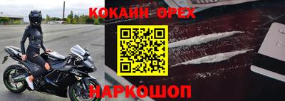 молекула духа Будённовск