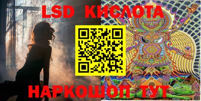 молекула духа Будённовск