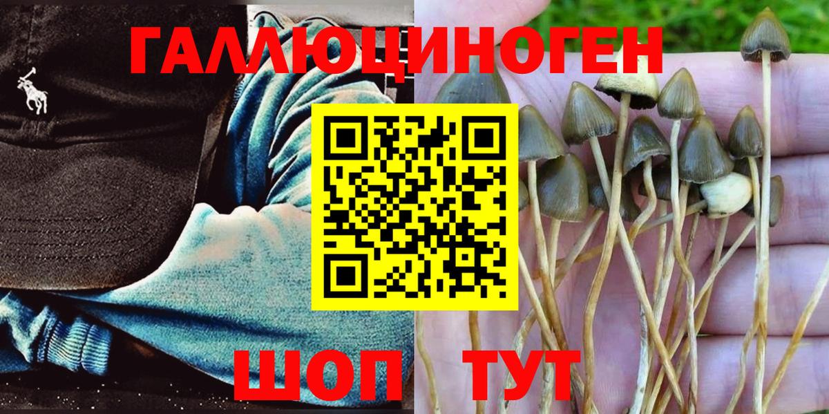 Малоярославец  Галлюциногенные грибы прущие грибы  Вход с VPN  Псилоцибиновые грибы ЛСД 